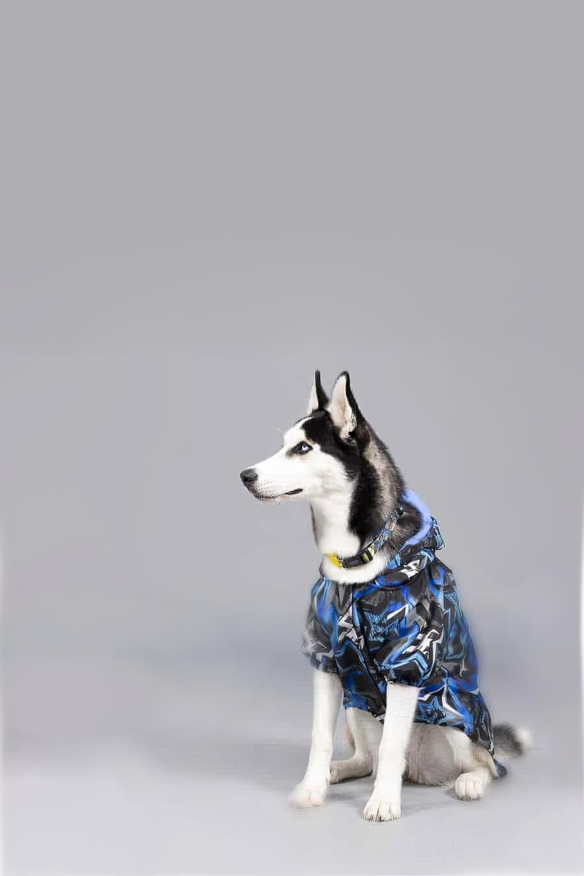 Lindodogs Blue Star İçi Polarlı Köpek Yağmurluğu