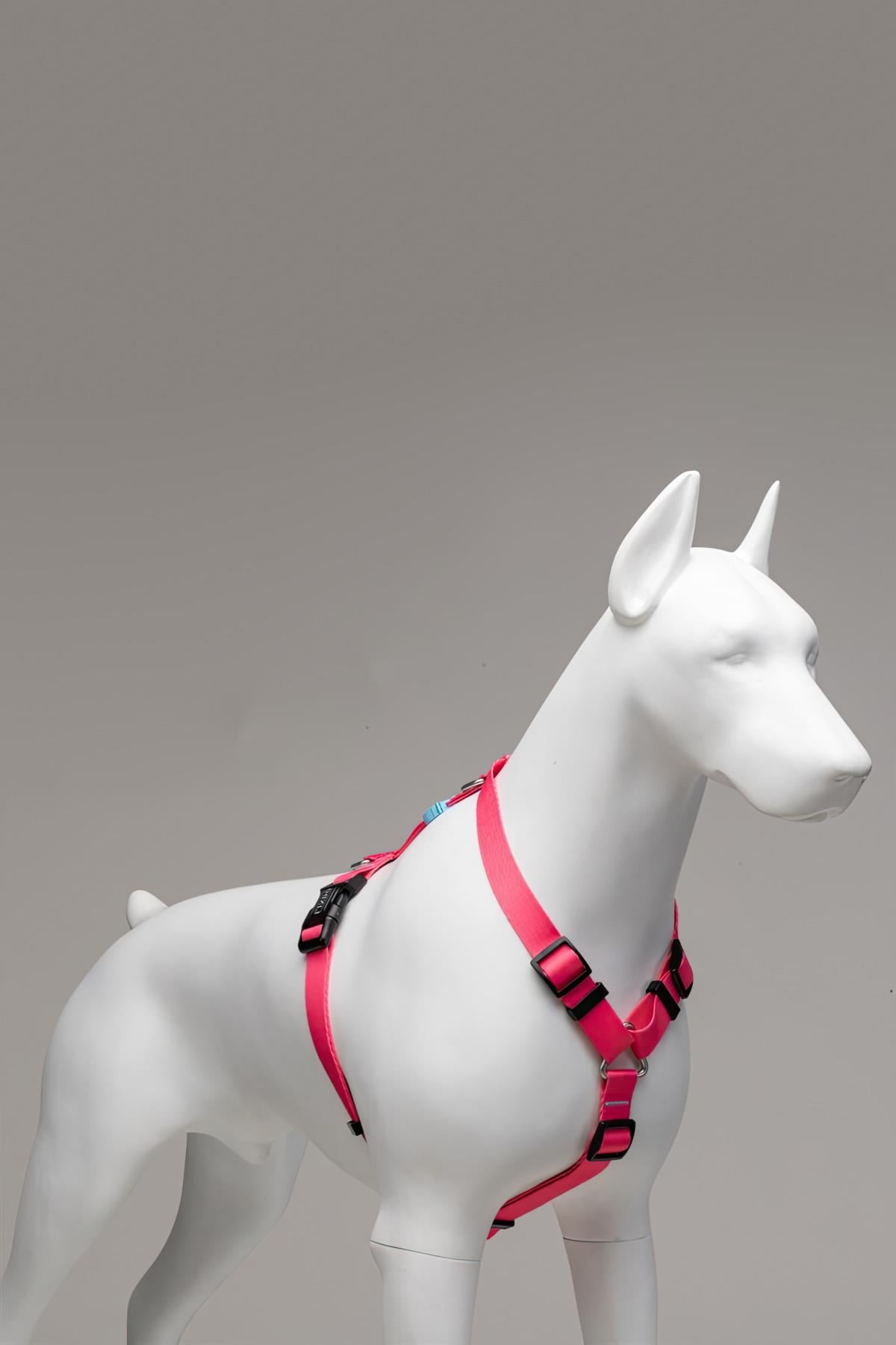 Lindodogs Bubble H Tipi Göğüs Tasması