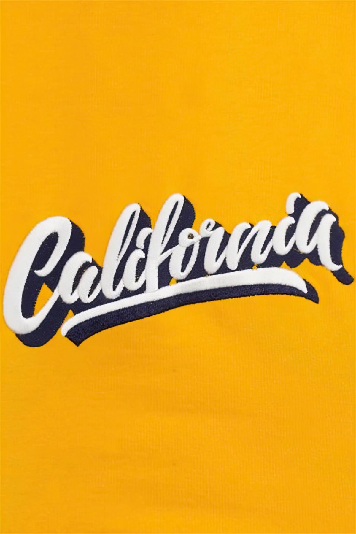 Lindodogs College California Small Medium And Large Race Dog Sweatshirt