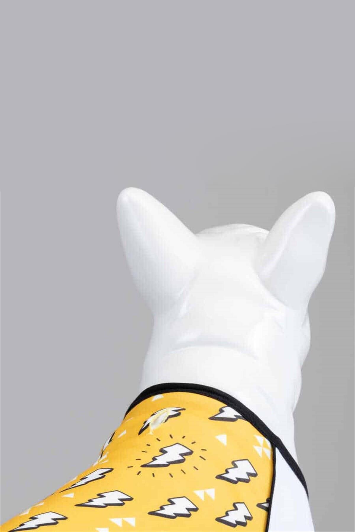 Lindodogs Flash Köpek T-Shirt