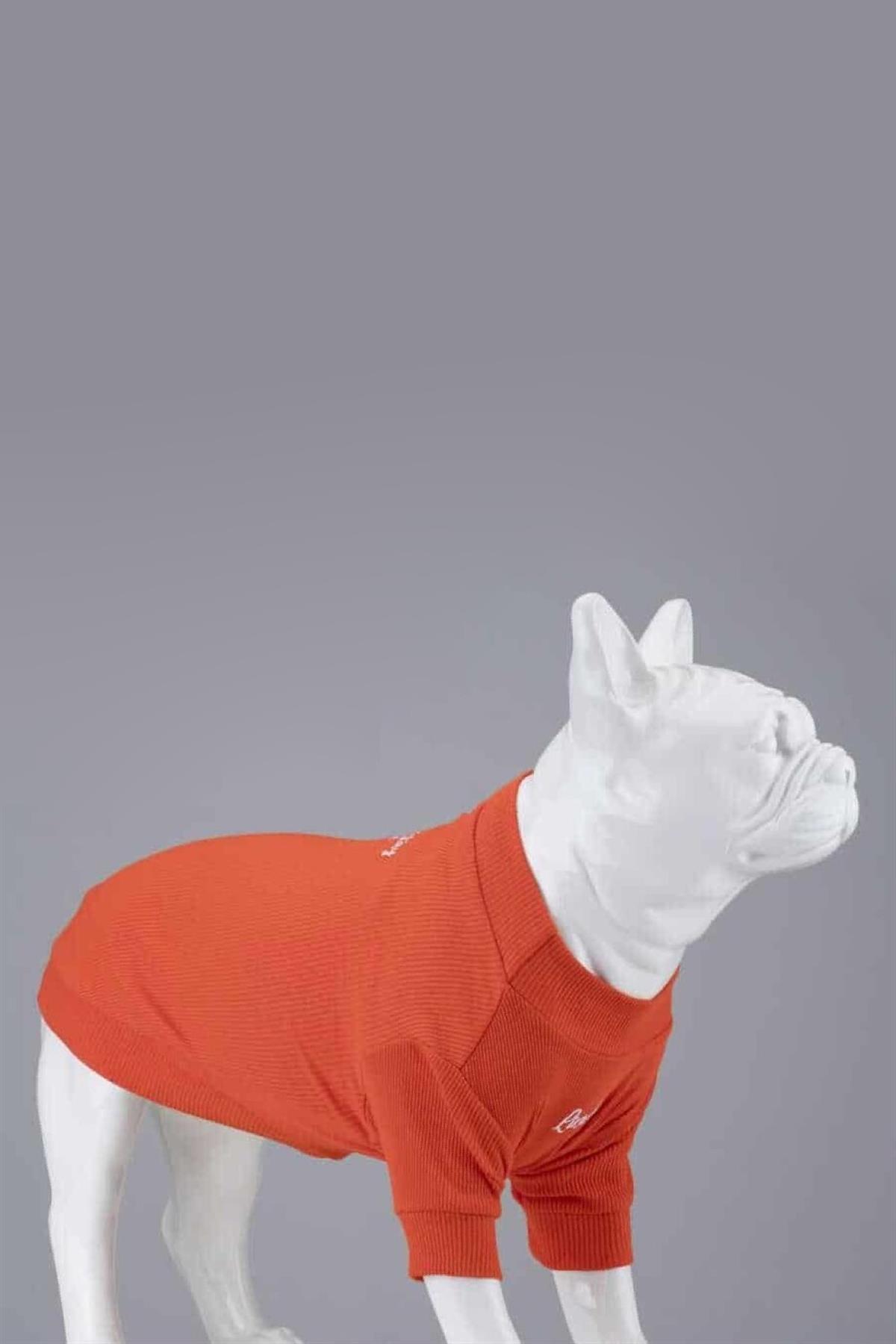 Lindodogs Flex Always Stay Free Small And Medium Race Dog Tshirt