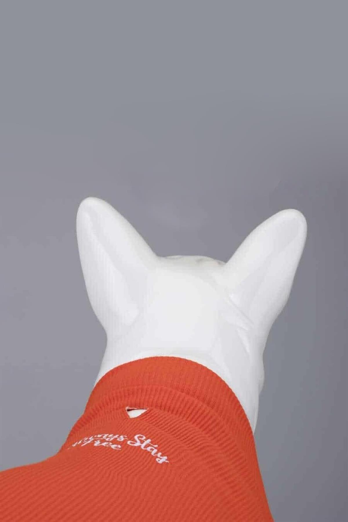 Lindodogs Flex Always Stay Free Small And Medium Race Dog Tshirt