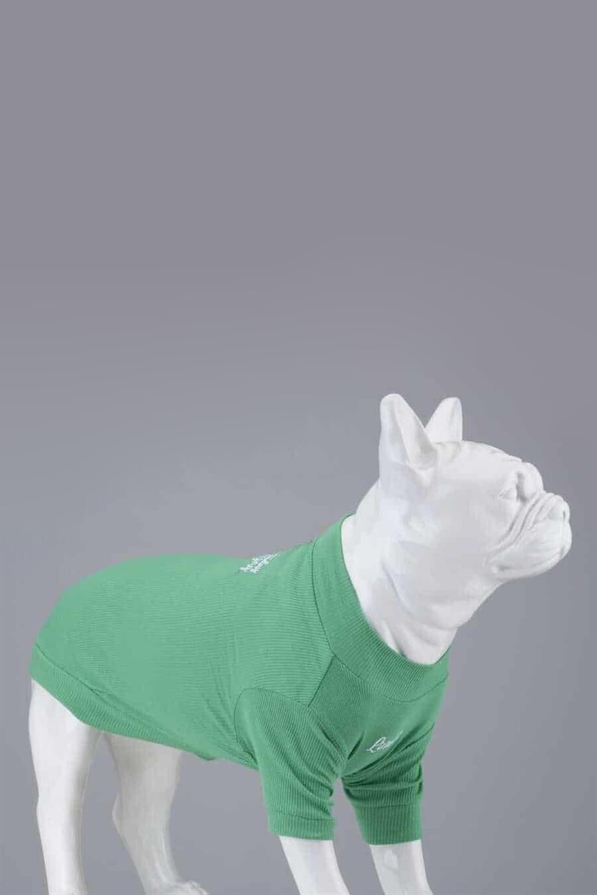 Lindodogs Flex Make Today Amazing Small And Medium Race Dog Tshirt