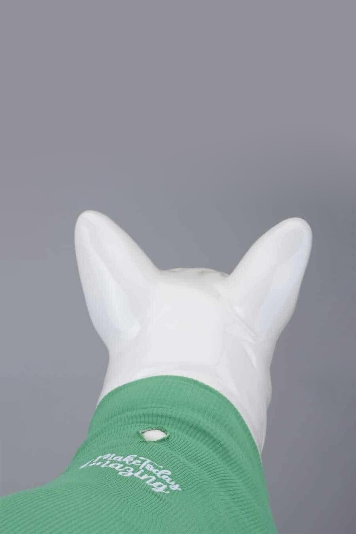 Lindodogs Flex Make Today Amazing Small And Medium Race Dog Tshirt