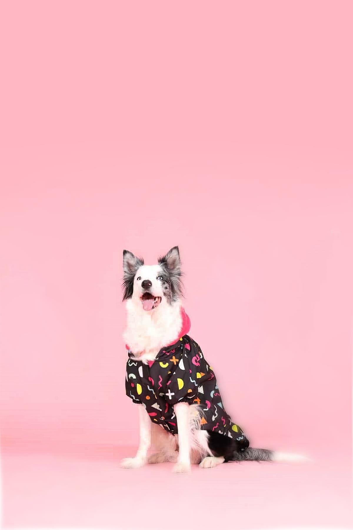 Lindodogs Joy İçi Polarlı Köpek Yağmurluğu