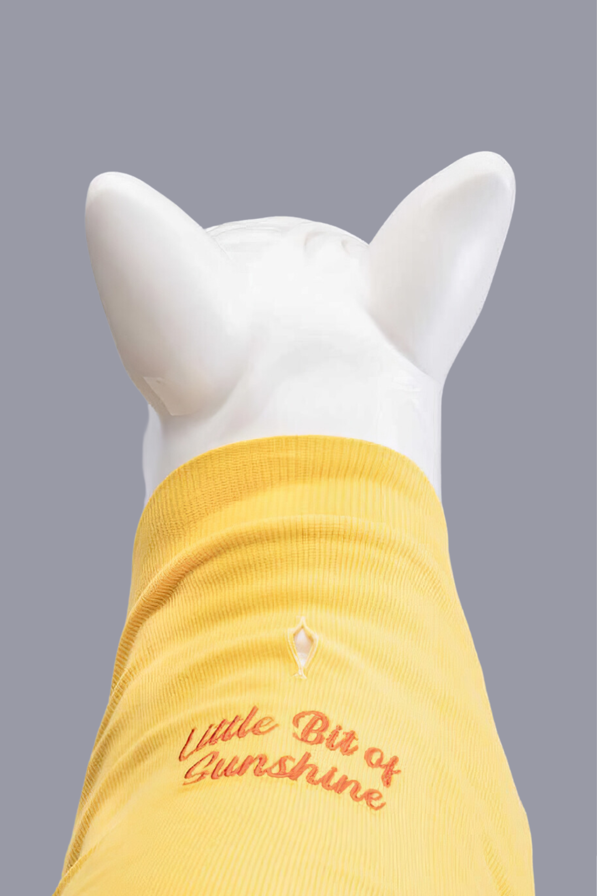 Lindodogs Little Bit of Sunshine Küçük ve Orta Irk Köpek Tshirt