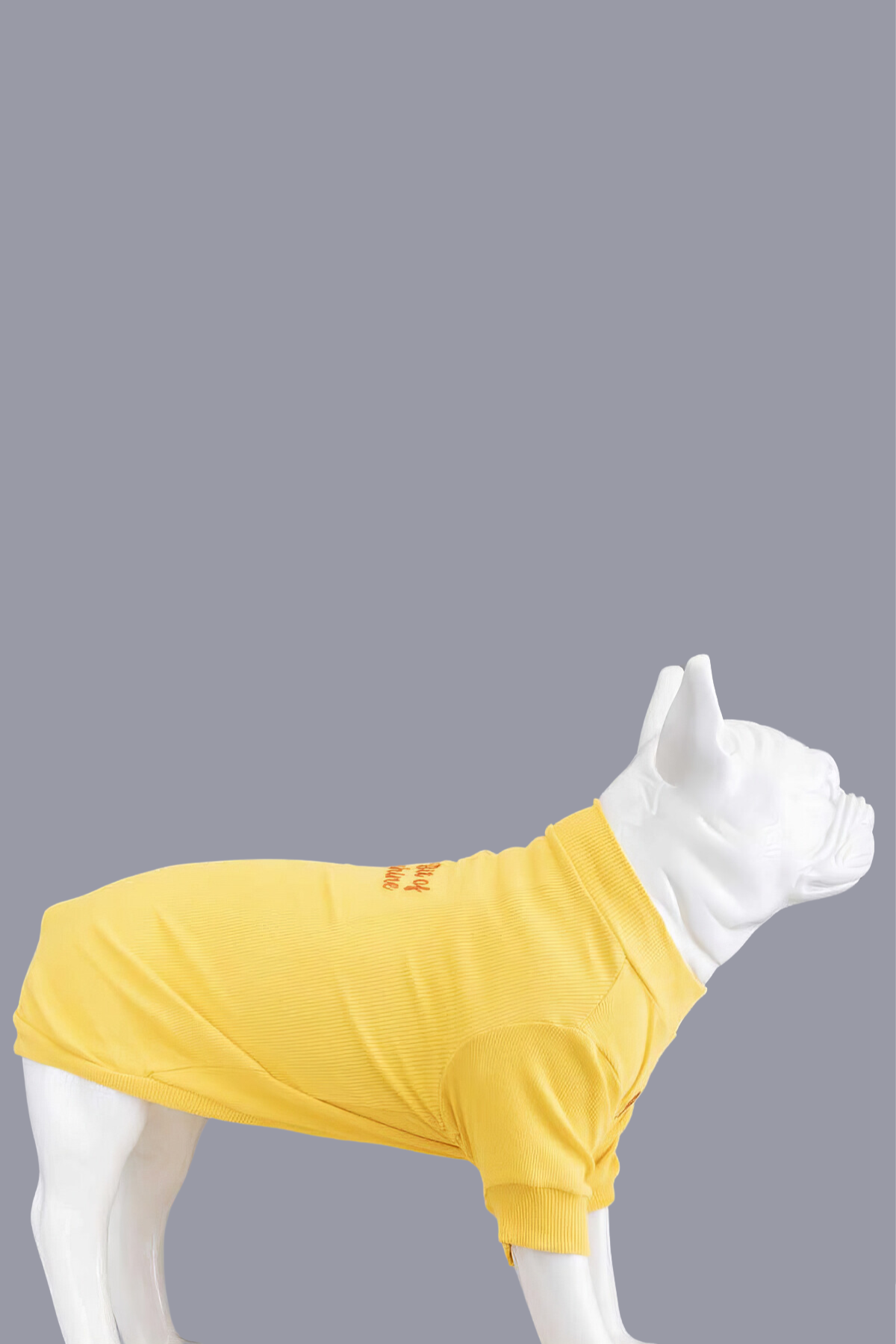 Lindodogs Little Bit of Sunshine Küçük ve Orta Irk Köpek Tshirt