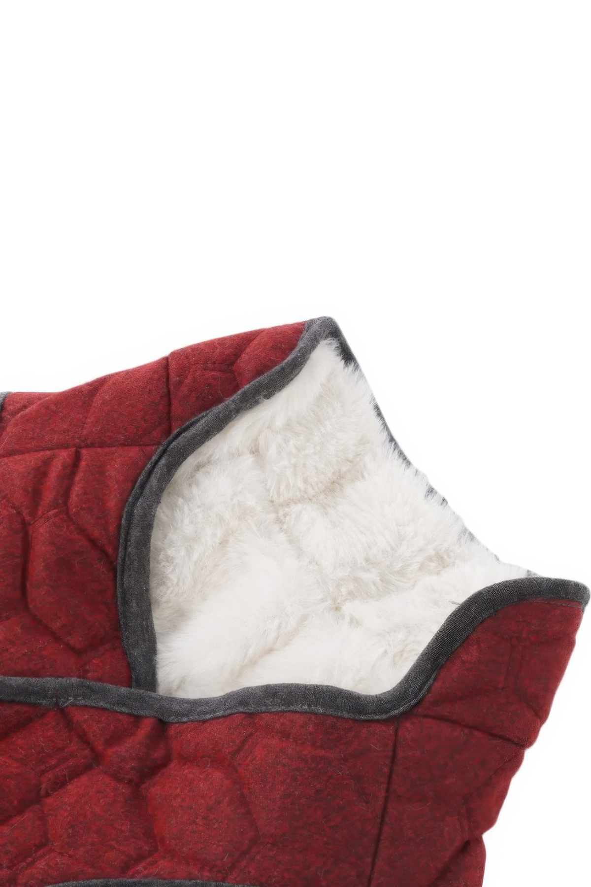 Lindodogs Luxury London Köpek Montu Bordo