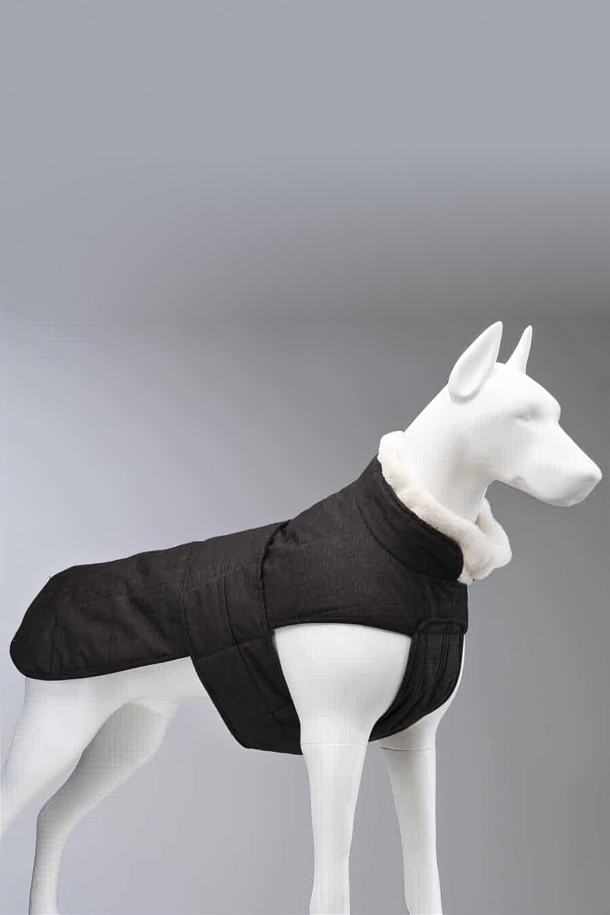 Lindodogs Luxury Plus Black Köpek Montu