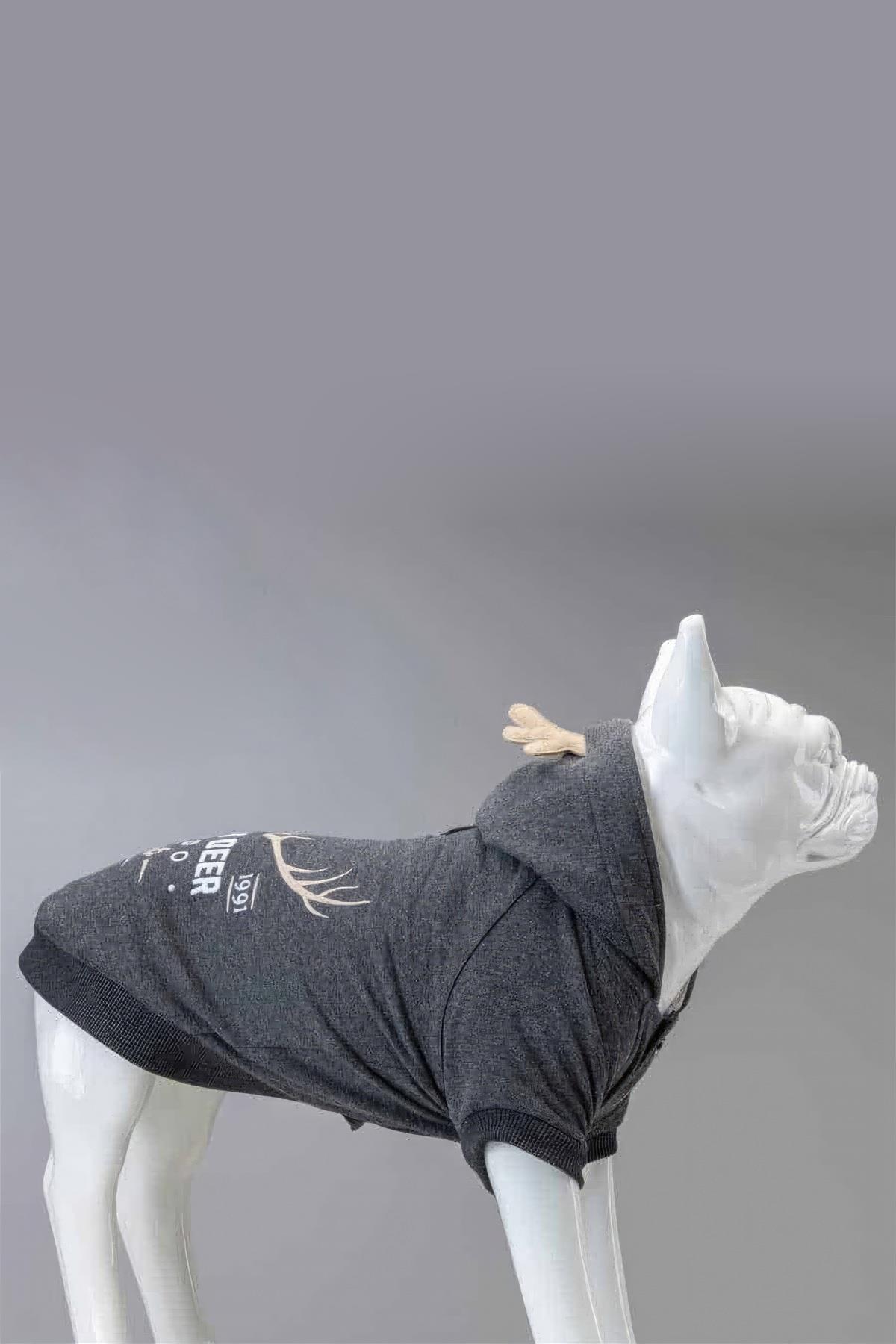 Lindodogs North Deer Small And Middle Race Dog Anthracit Sweatshirt