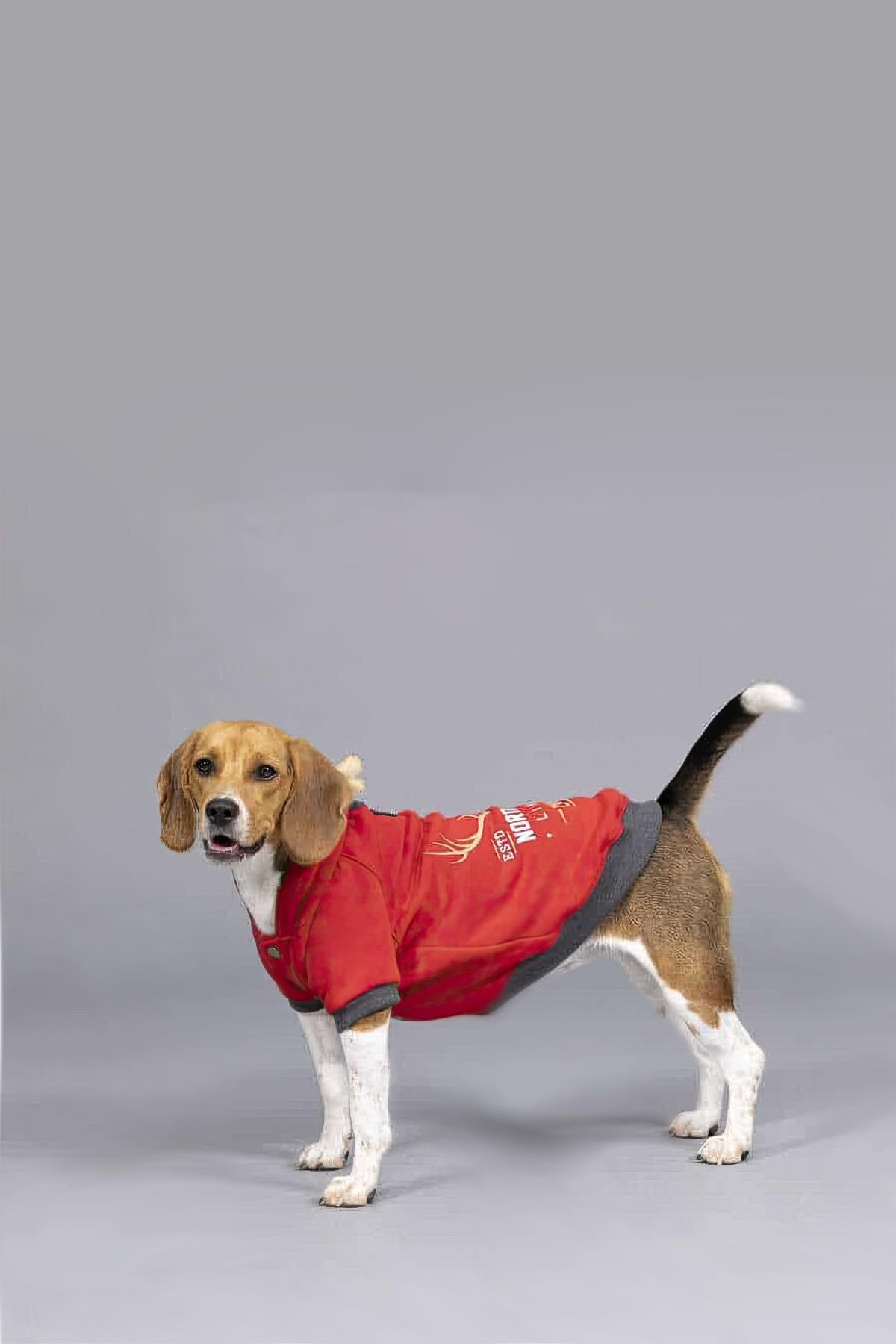 Lindodogs North Deer Small And Middle Race Dog Red Sweatshirt