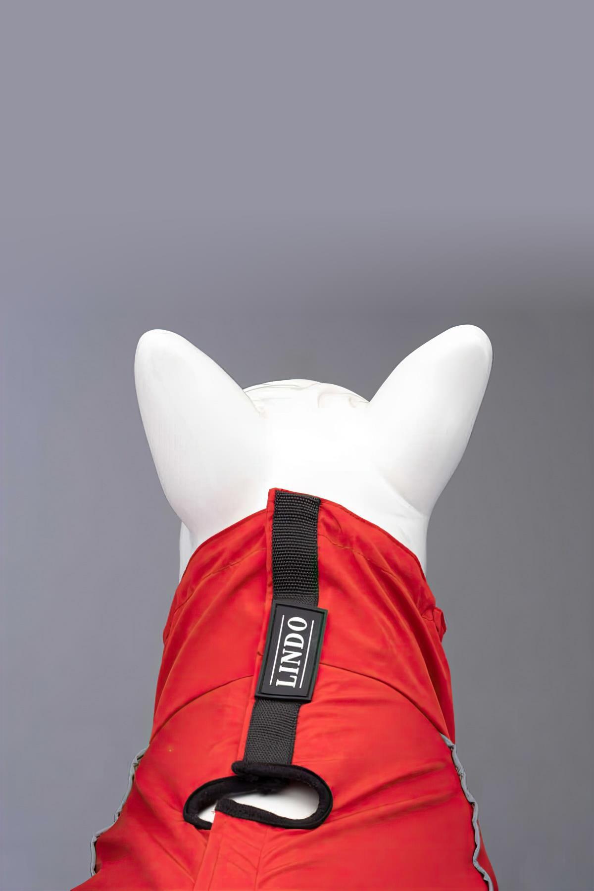 Lindodogs Quattro Nova Inside Polar Dog Rain