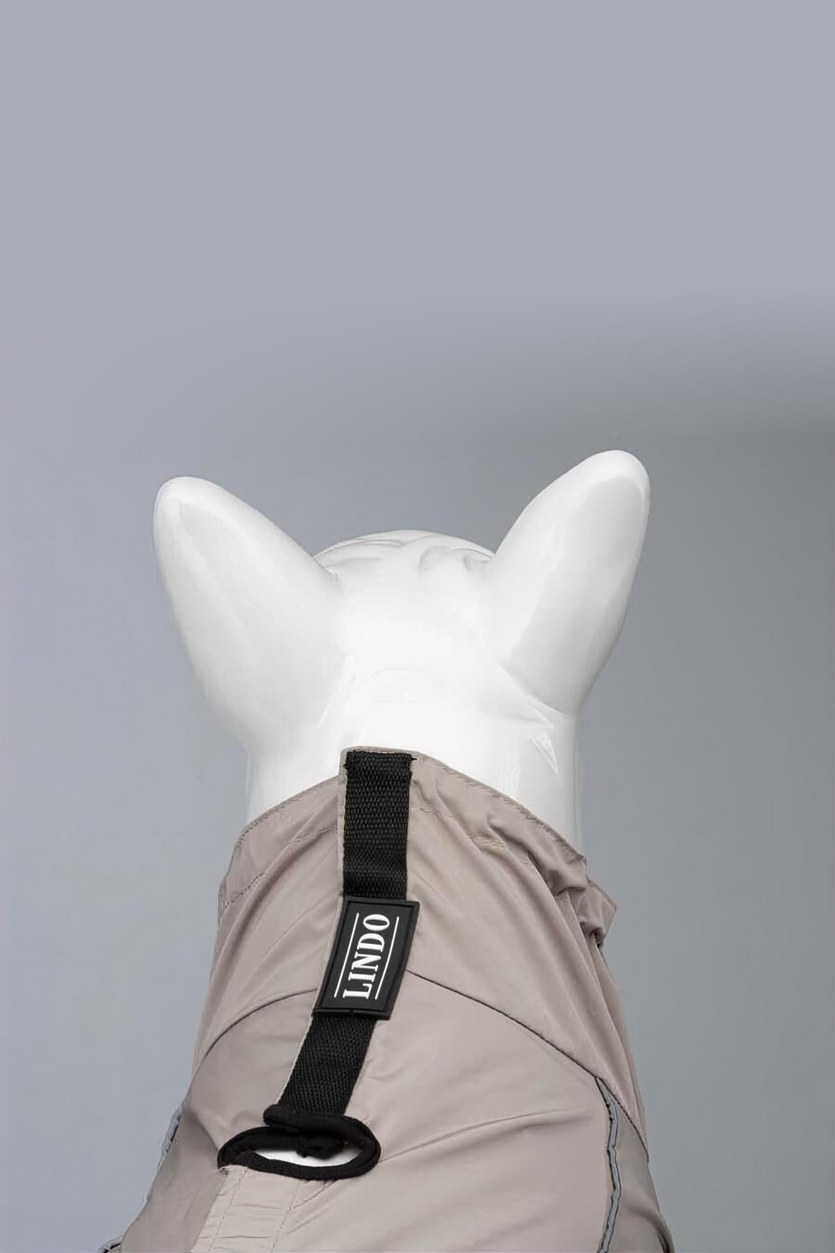 Lindodogs Quattro Sirius Dog Raincoat