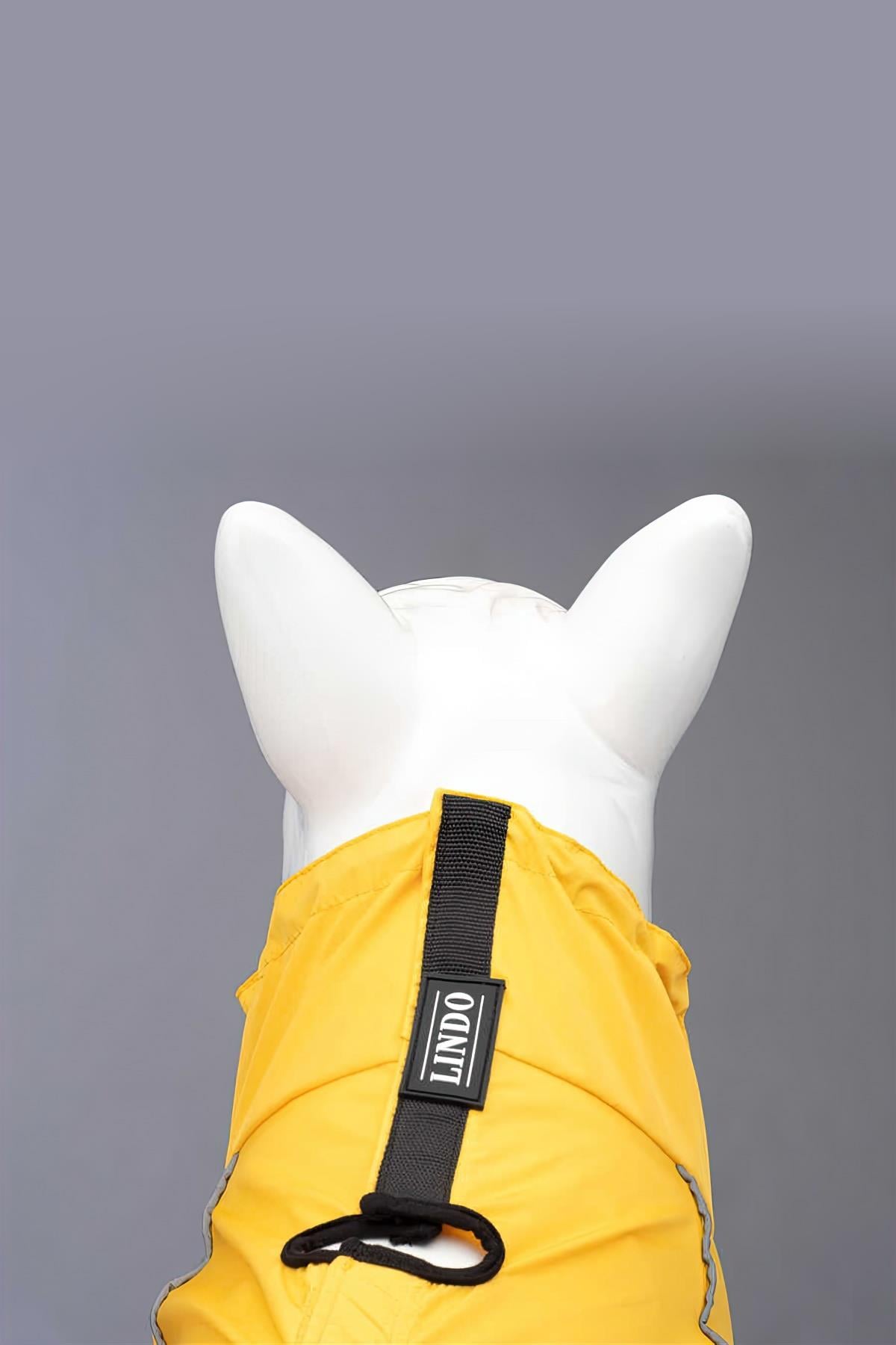 Lindodogs Quattro Vega Dog Rail