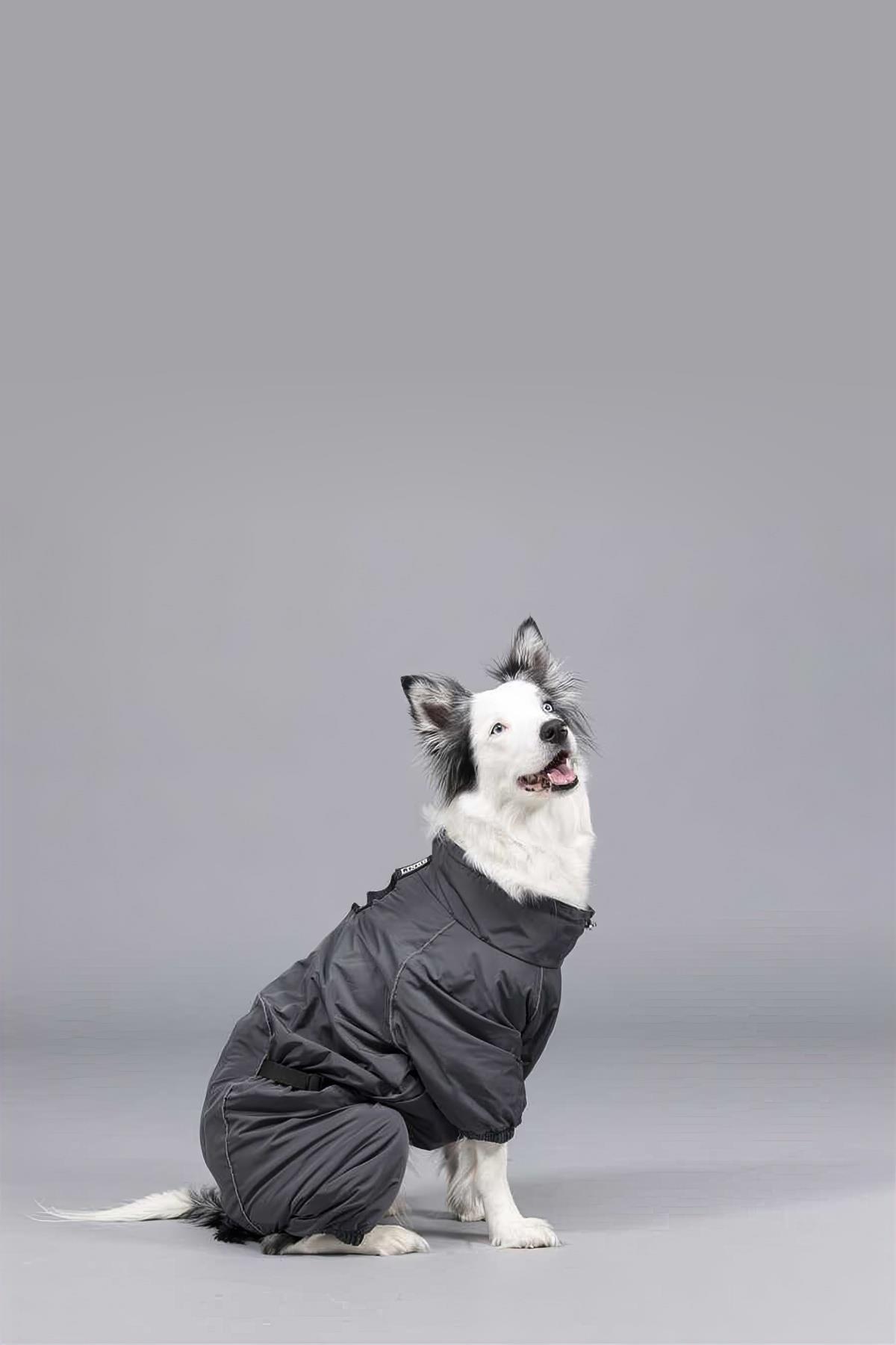 Lindodogs Quattro Void Inside Polar Dog Rain