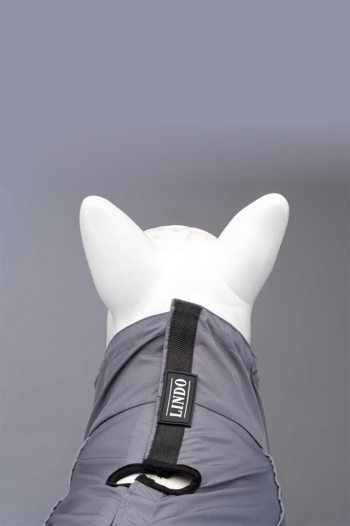 Lindodogs Quattro Void Inside Polar Dog Rain
