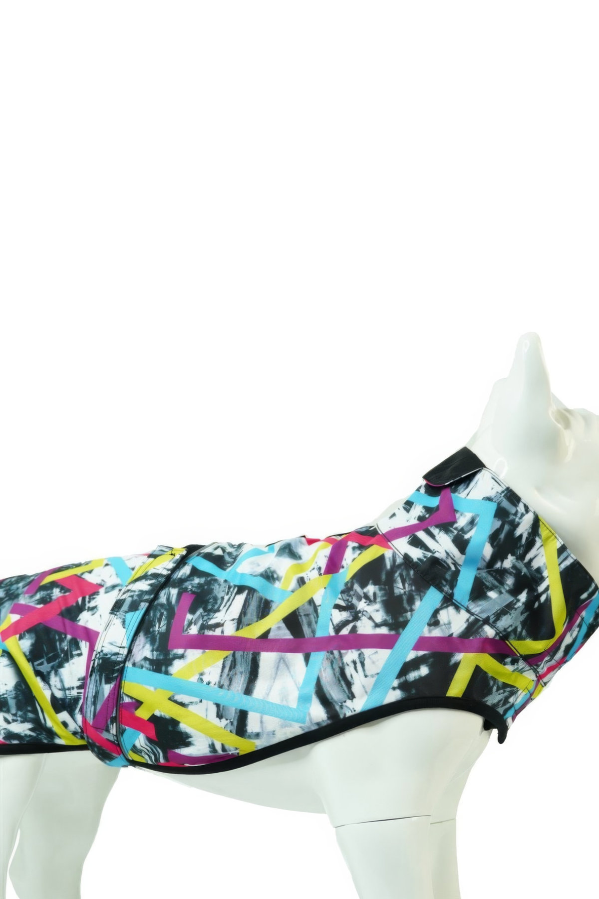 Lindodogs Rainbow Dog