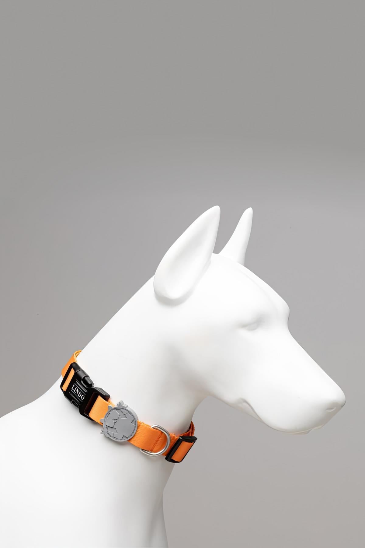 Lindodogs Royal Köpek Boyun Tasması