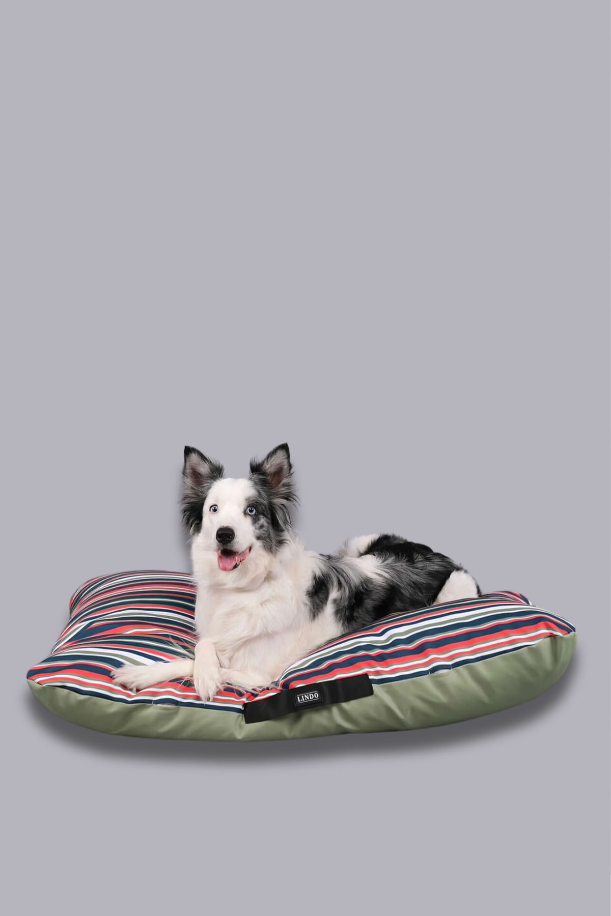 Lindodogs Soft View Köpek Yatağı