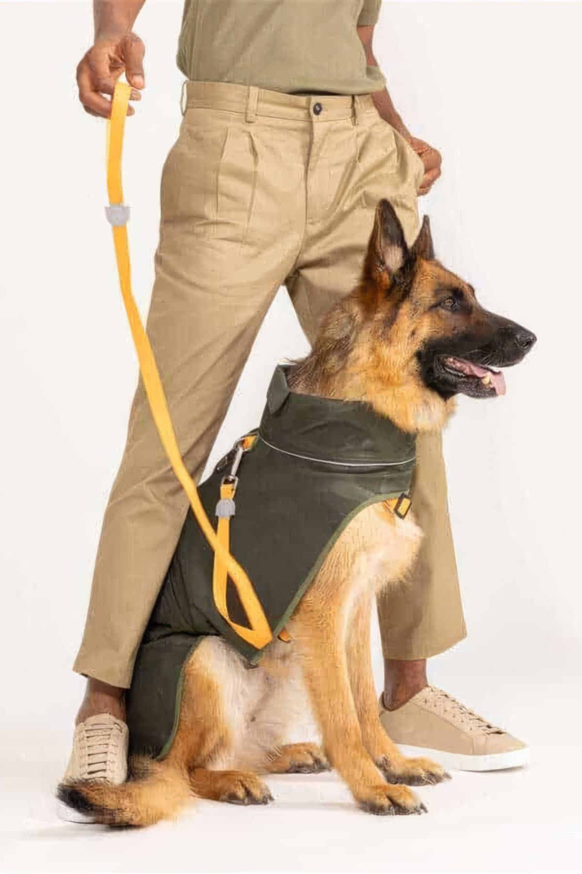 Lindodogs Softshell Army Green Small, Medium And Large Race Dog Rail