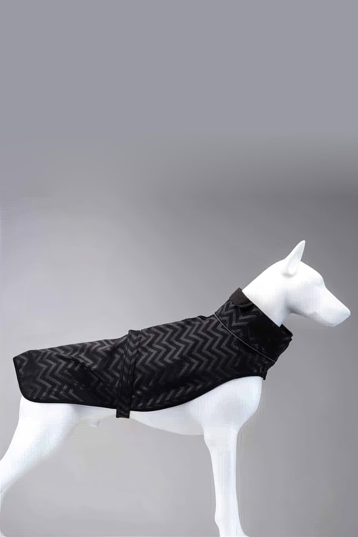 Lindodogs Softshell Black Stripe Küçük,Orta ve Büyük Irk Köpek Yağmurluğu