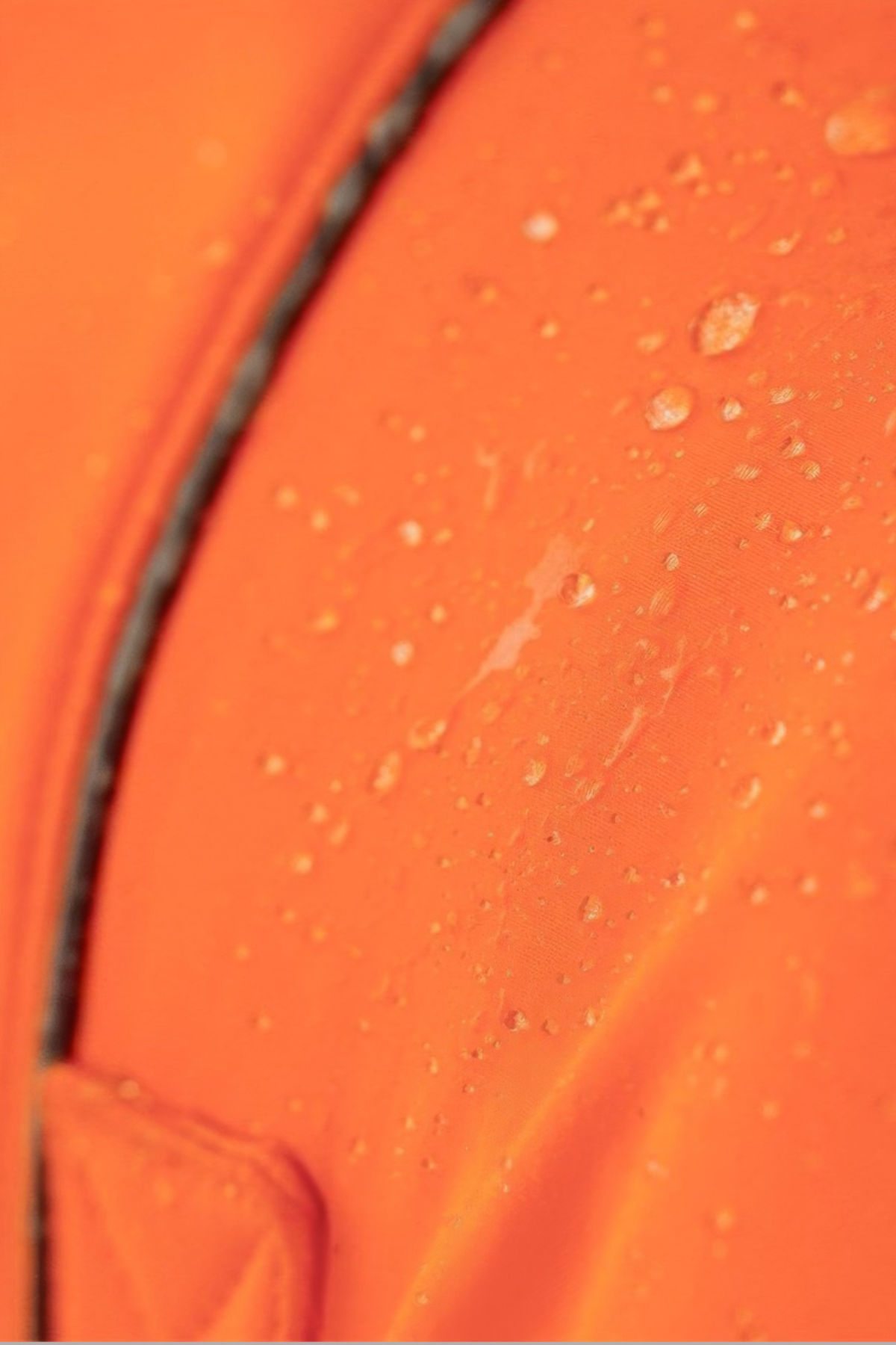 Lindodogs Softshell Neon Orange Small, Medium And Large Race Dog Rail