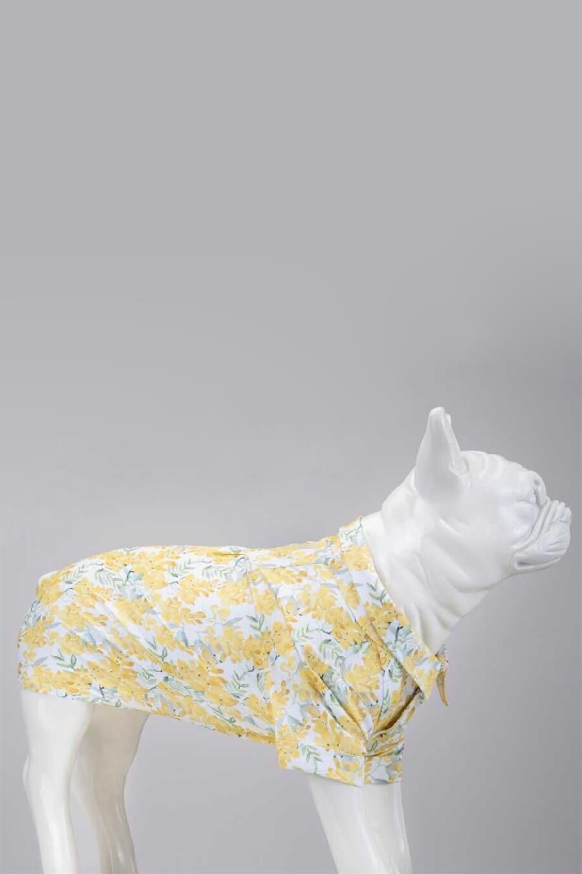 Lindodogs Spring Small And Middle Race Dog Shirt