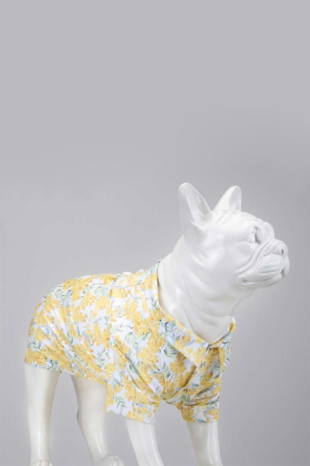 Lindodogs Spring Small And Middle Race Dog Shirt