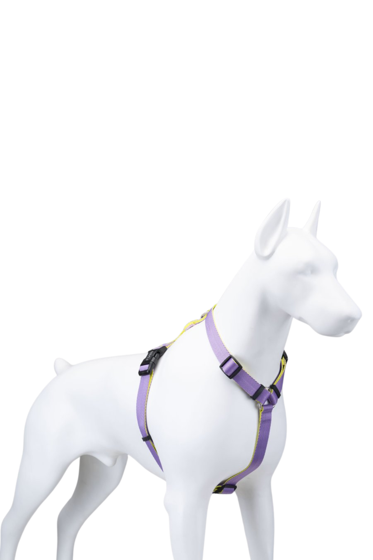 Lindodogs Urban Glow Purple H Tipi Göğüs Tasması