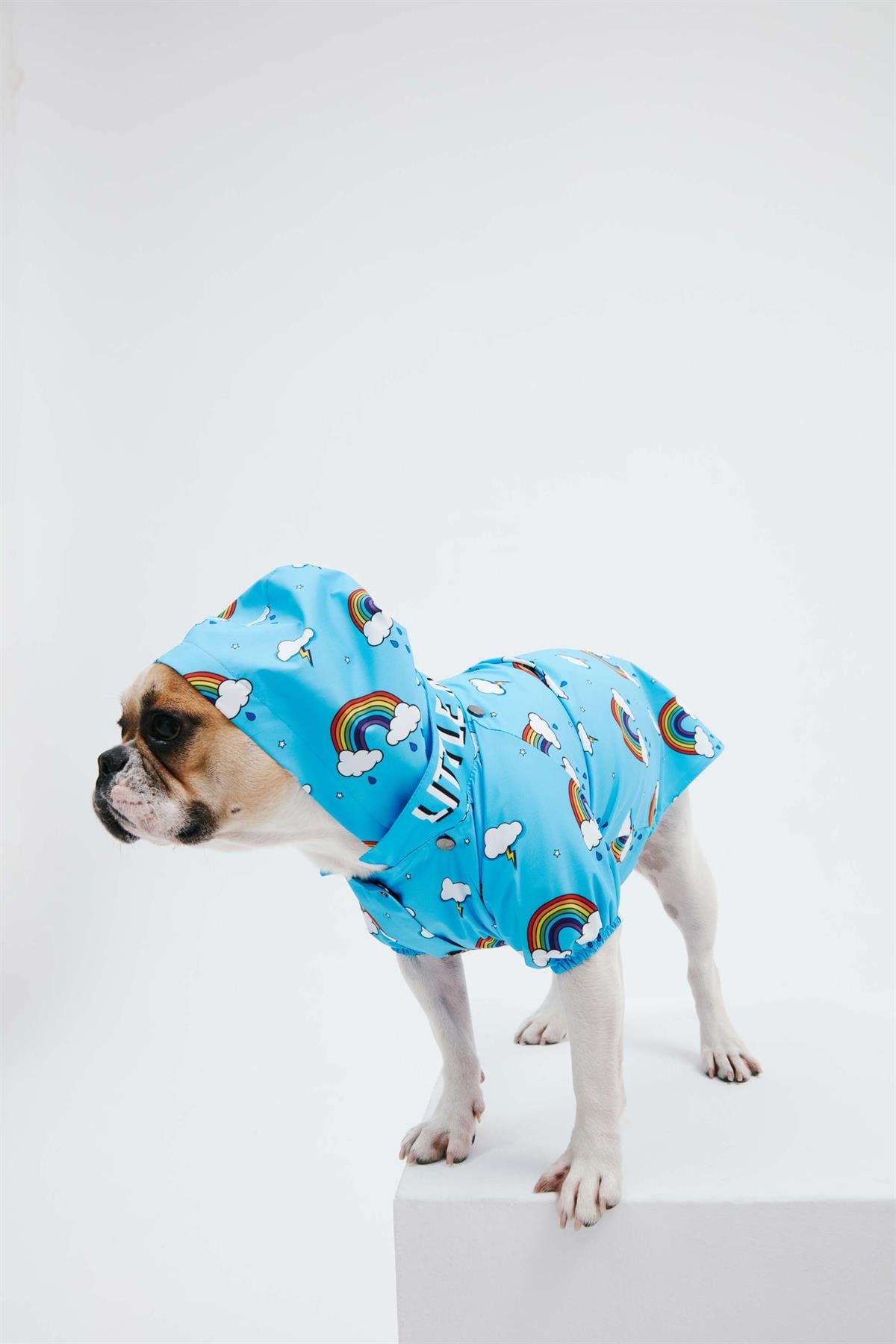 Little Monster Blue Rainbow Köpek Yağmurluğu
