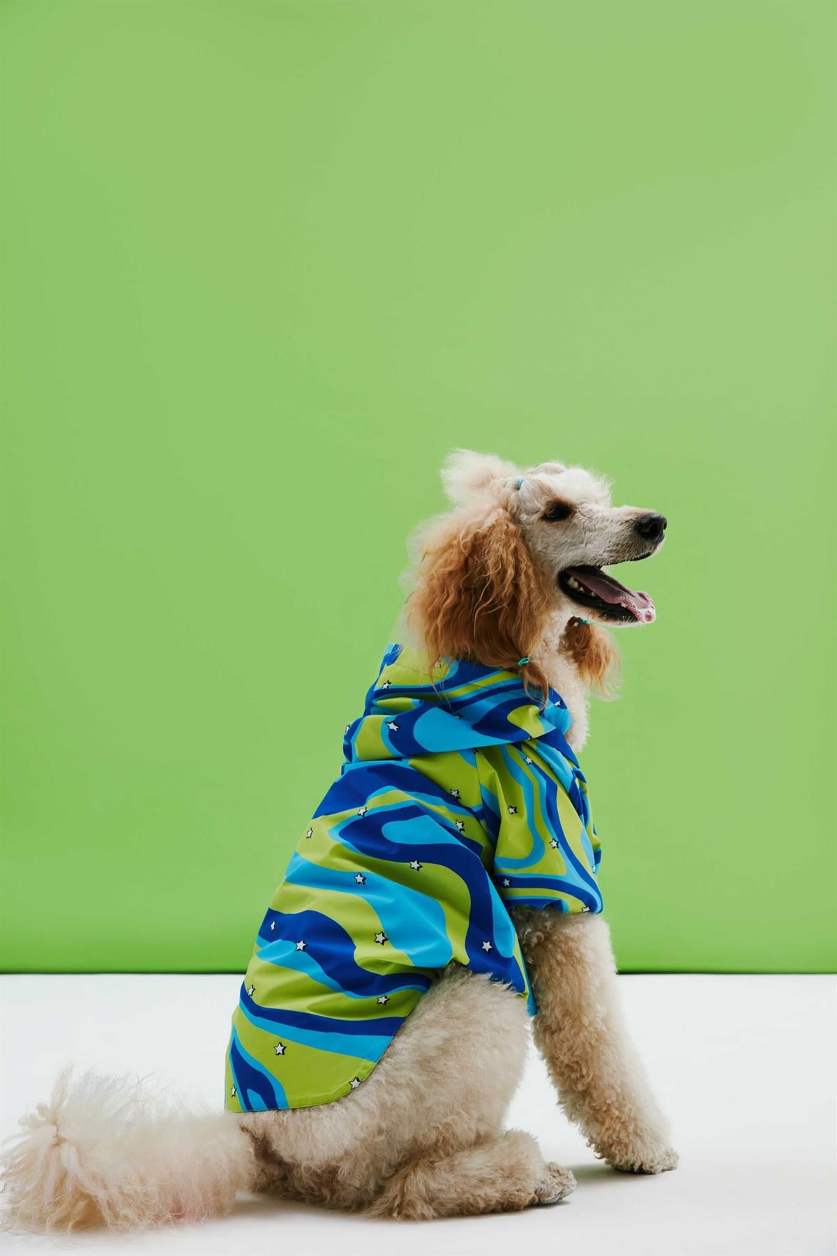 Little Monster Green Blue Wave Köpek Yağmurluğu