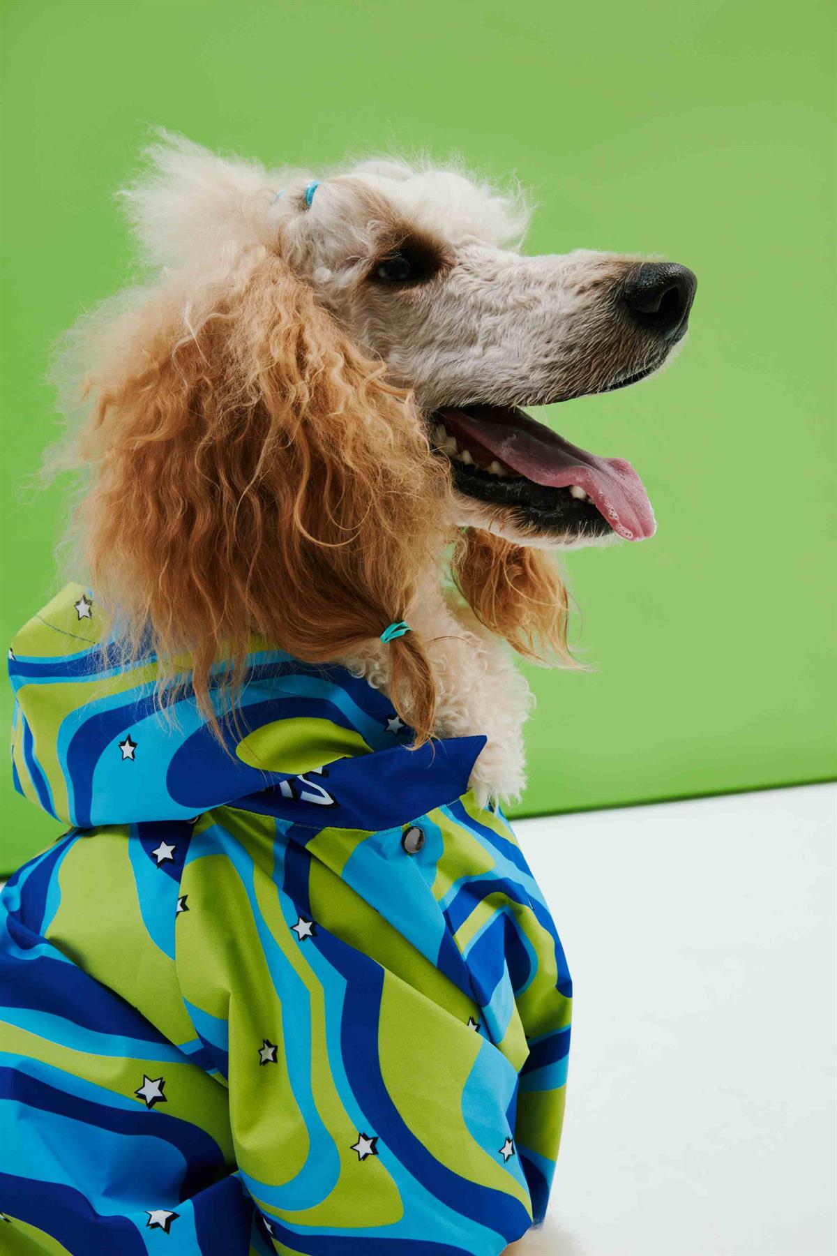 Little Monster Green Blue Wave Köpek Yağmurluğu