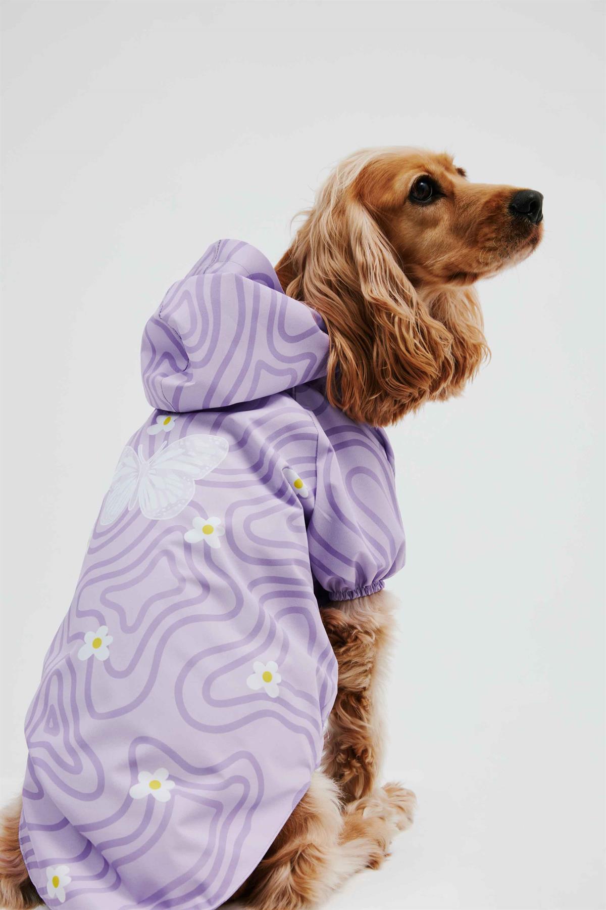 Little Monster Lilac Butterfly Köpek Yağmurluğu