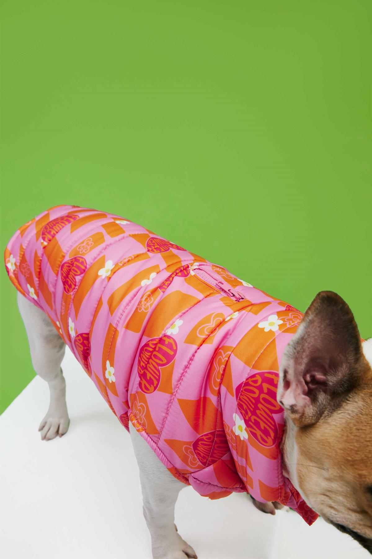 Little Monster Orange Pink Checkered Puffer Dog Coat