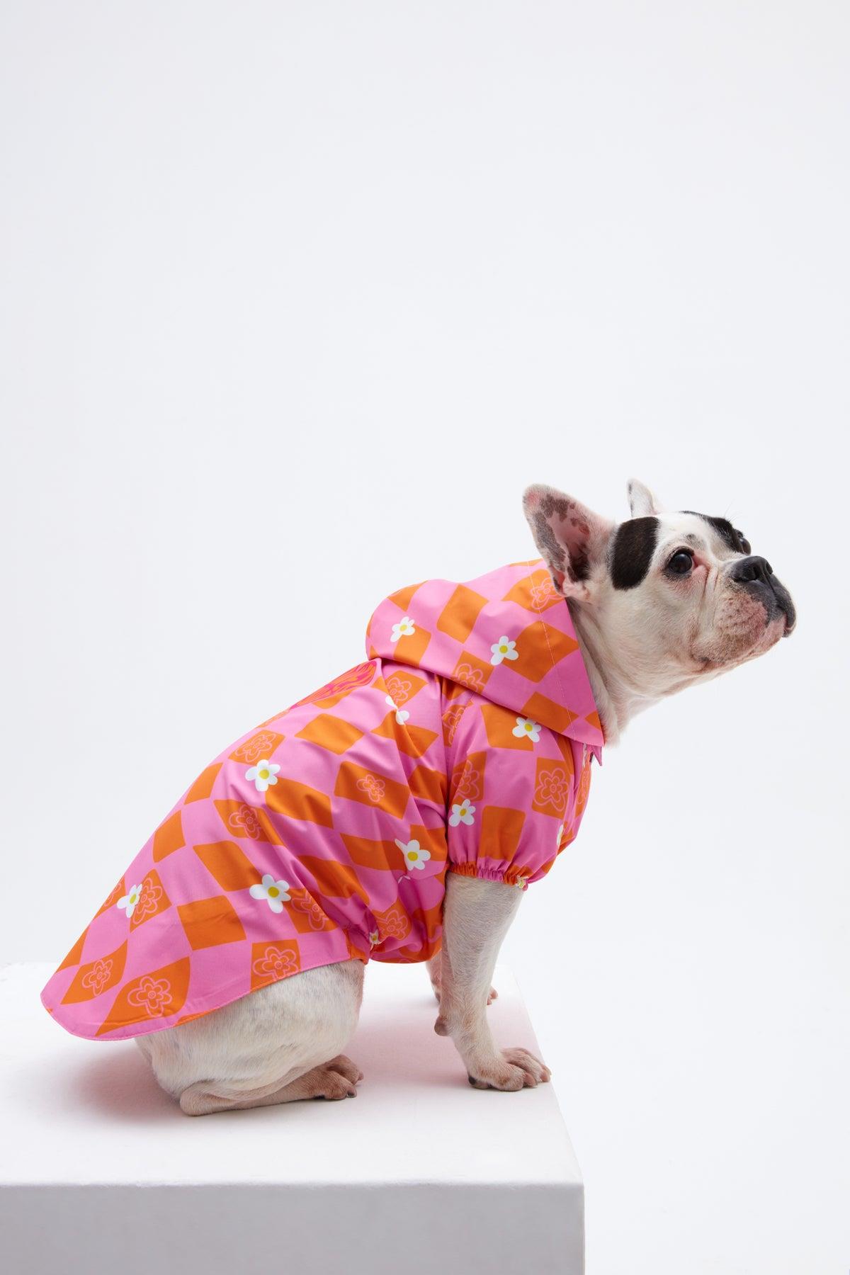 Little Monster Orange Pink Dominated Dog Rain