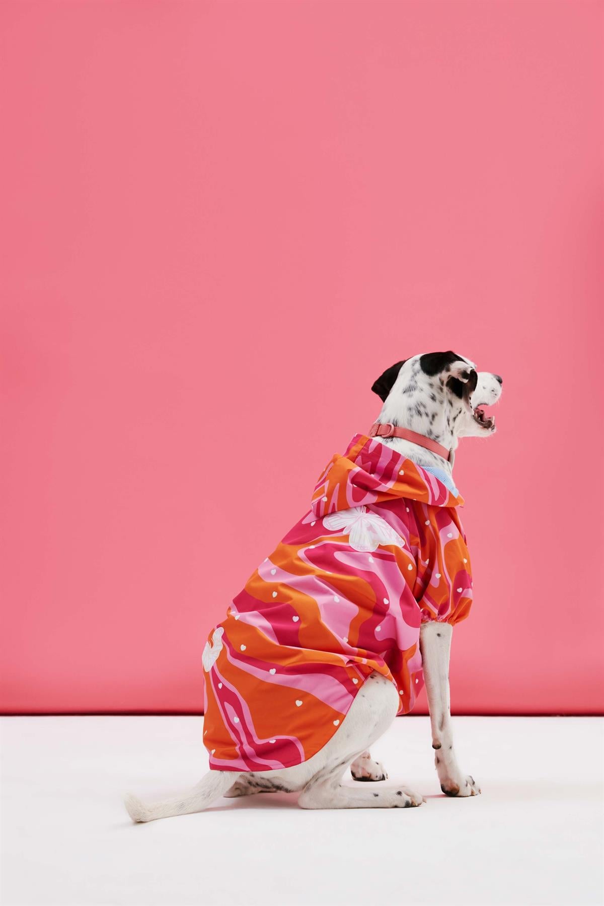 Little Monster Orange Pink Wave Dog Rain