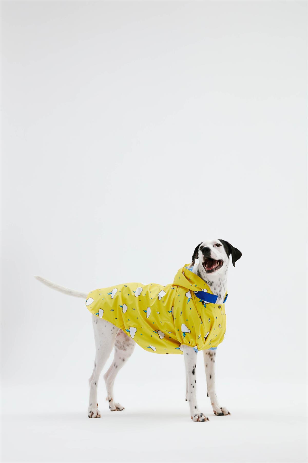 Little Monster Yellow Cloud Köpek Yağmurluğu