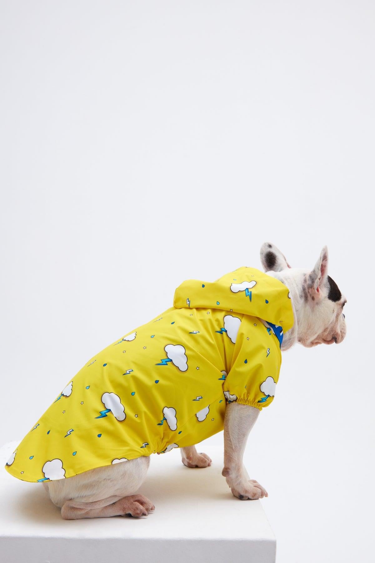 Little Monster Yellow Cloud Köpek Yağmurluğu