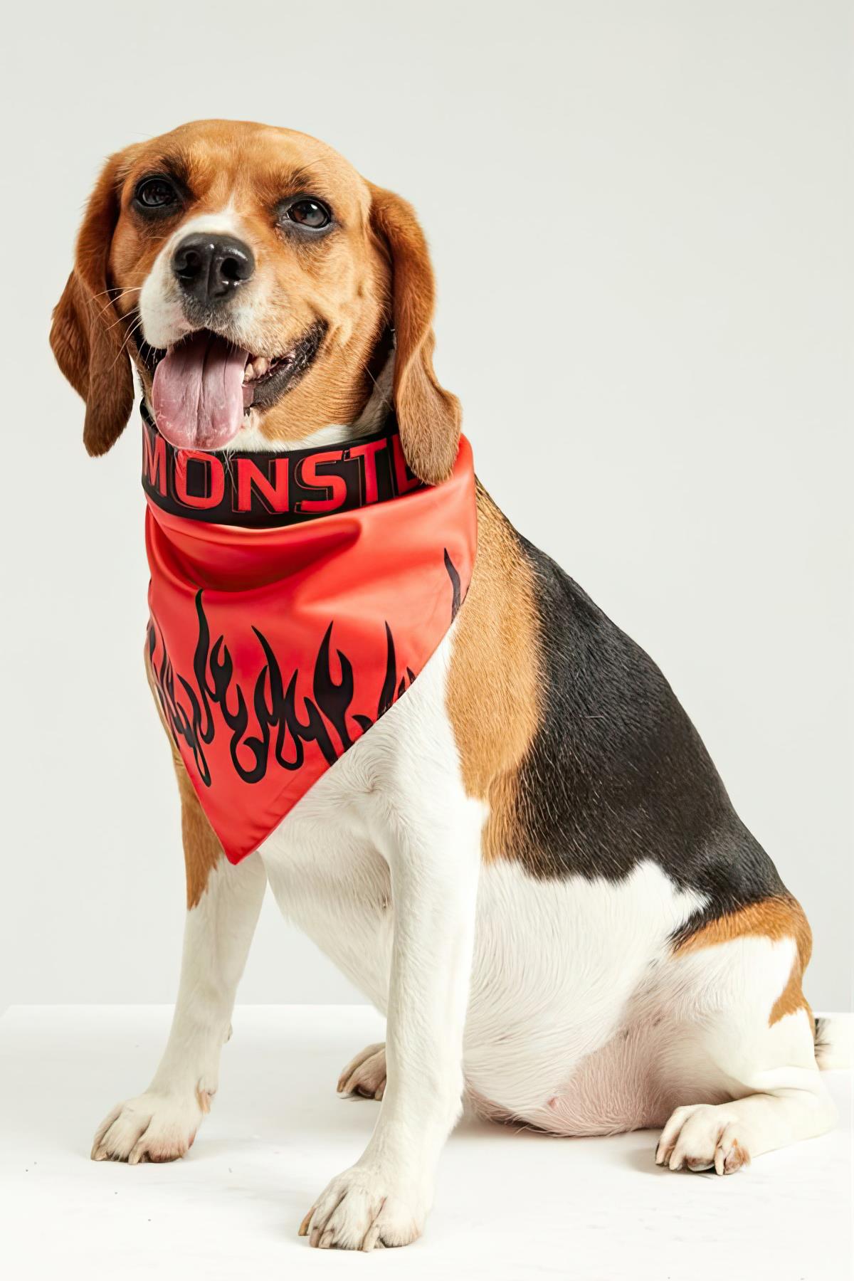 Little Monsters Black Fire Bandana