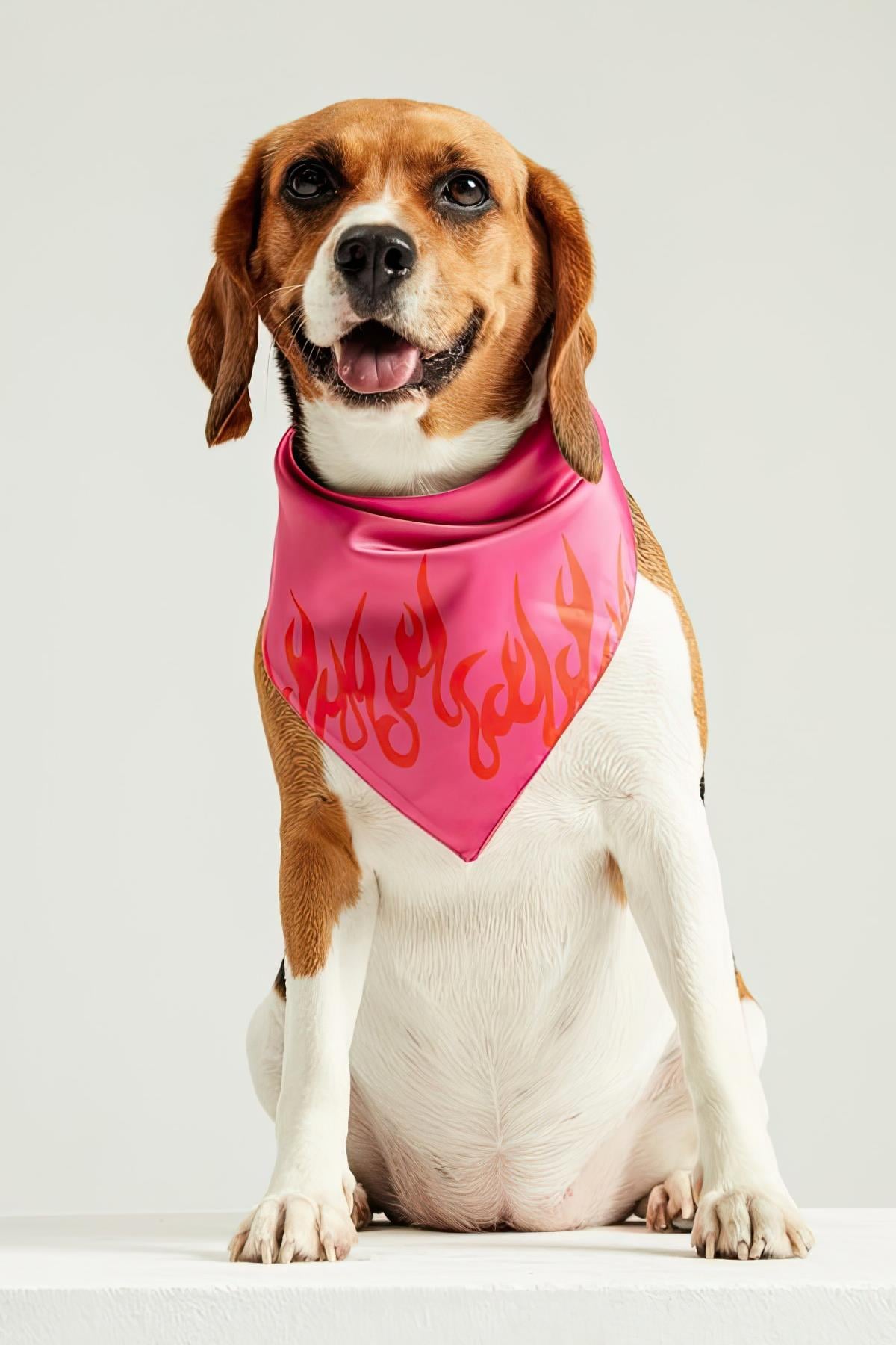 Little Monsters Fire Bandana