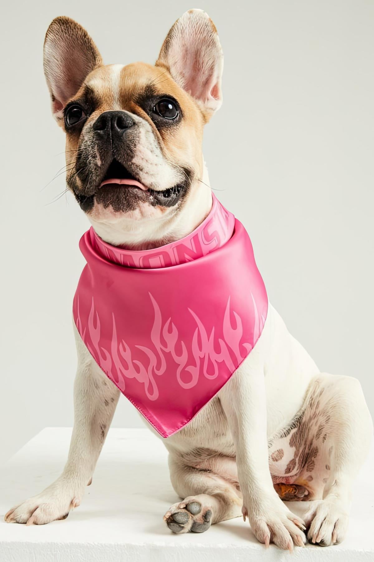 Little Monsters GRL PWR Bandana