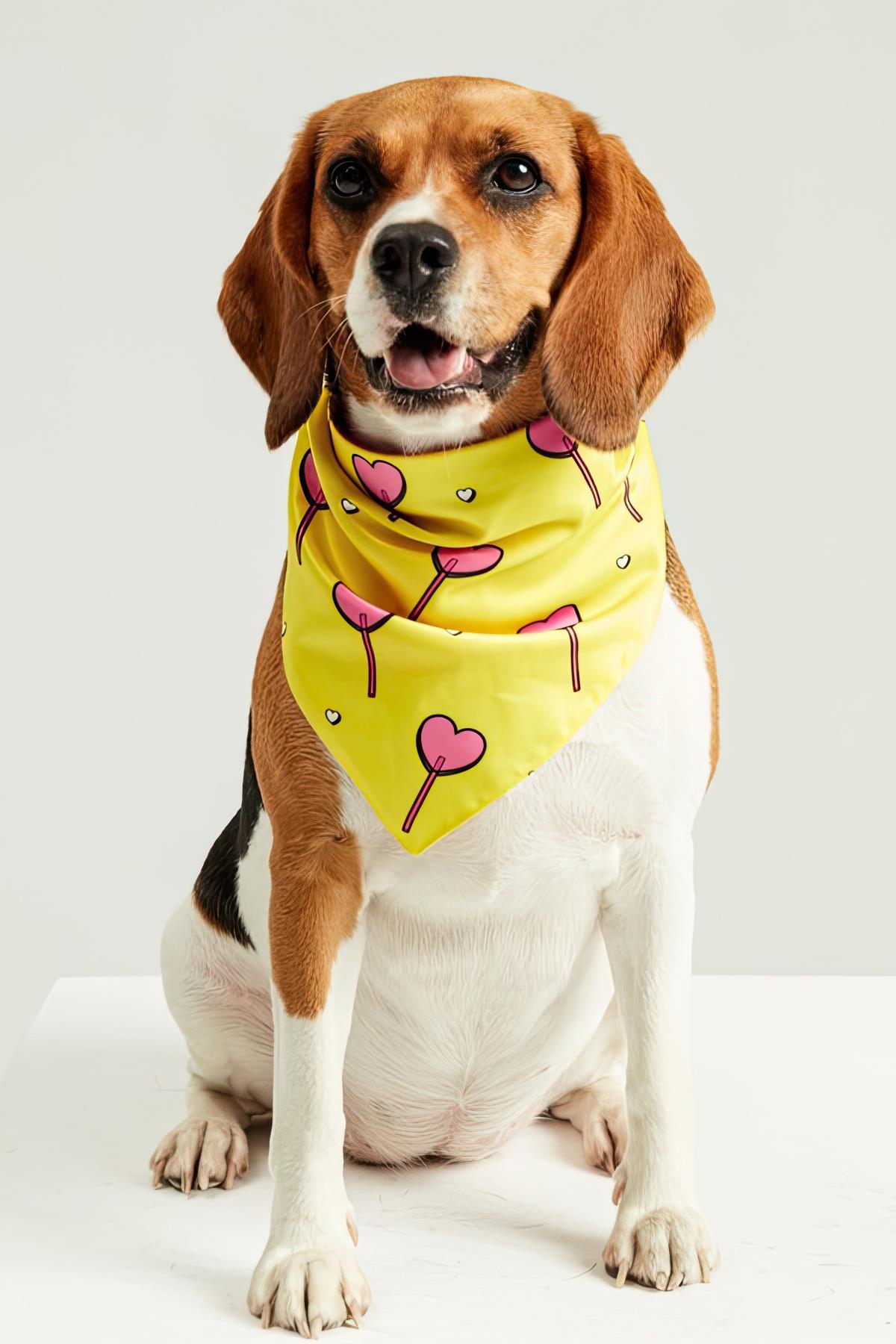 Little Monsters Hearts Candy Bandana