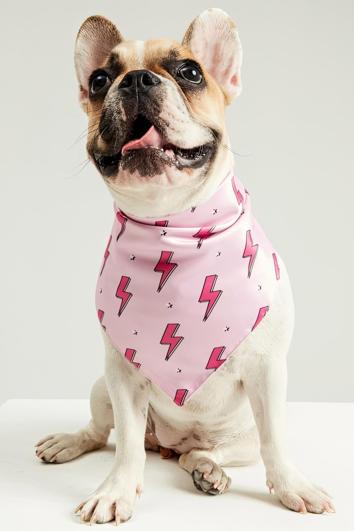 Little Monsters Pink Flash Bandana