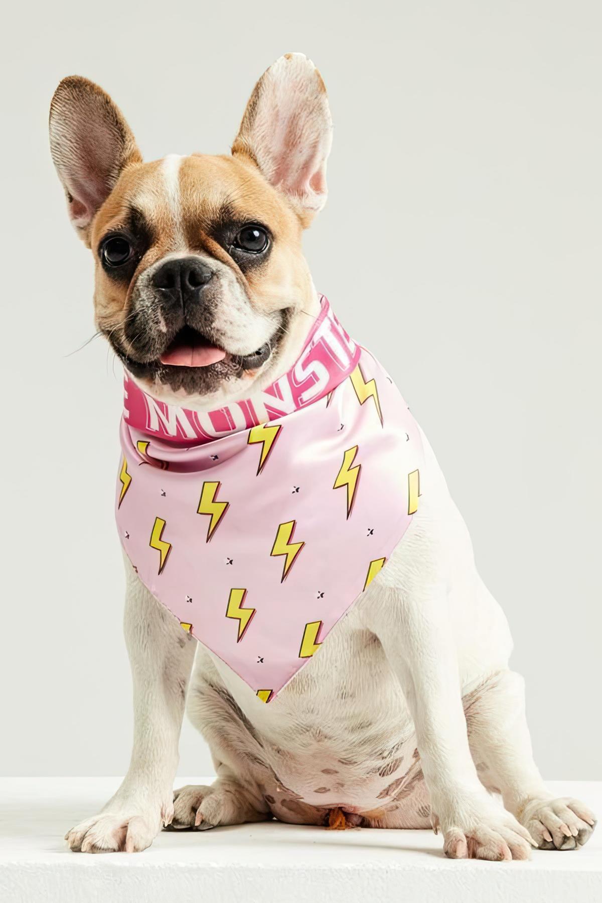 Little Monsters Pink Flash Bandana