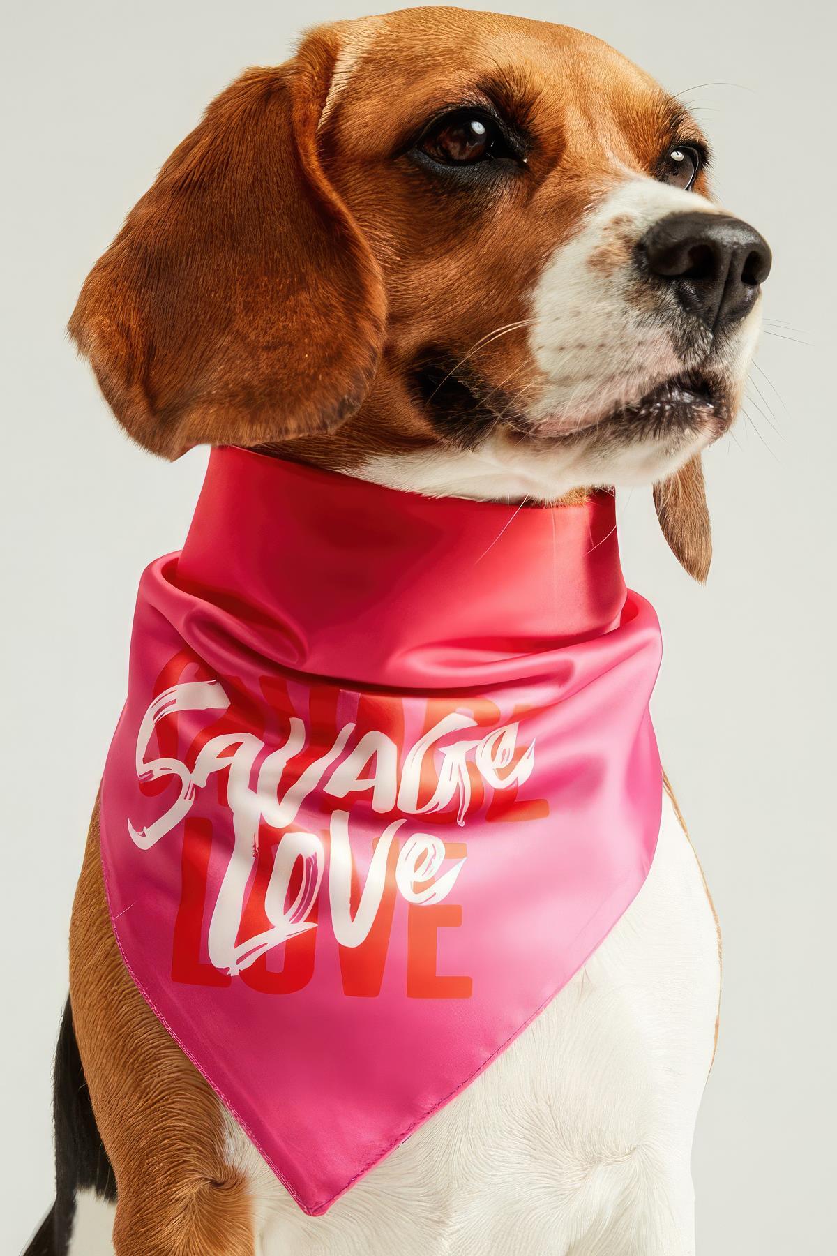 Little Monsters Savage Love Bandana
