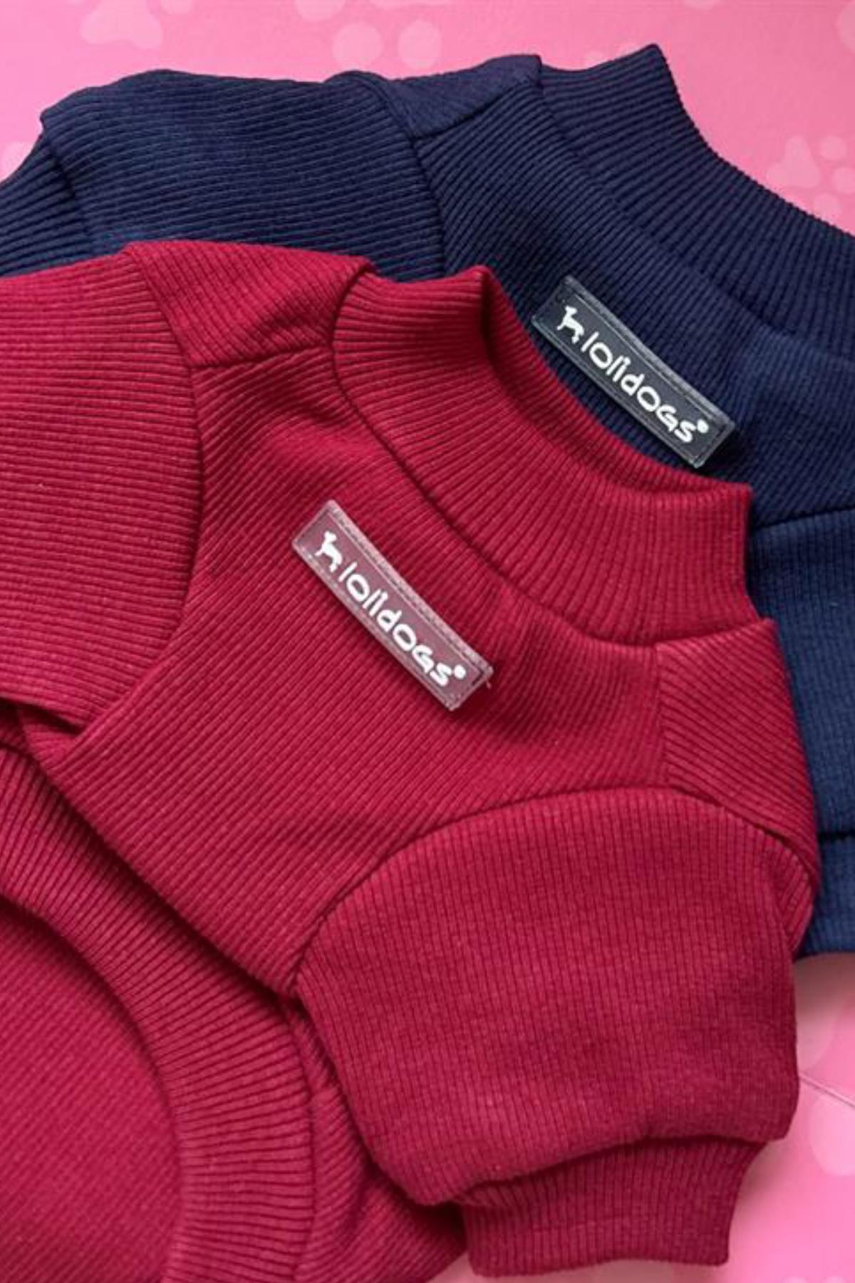 Lolidogs Basics - Kaşkorse Köpek Sweatshirtü Sky Lacivert