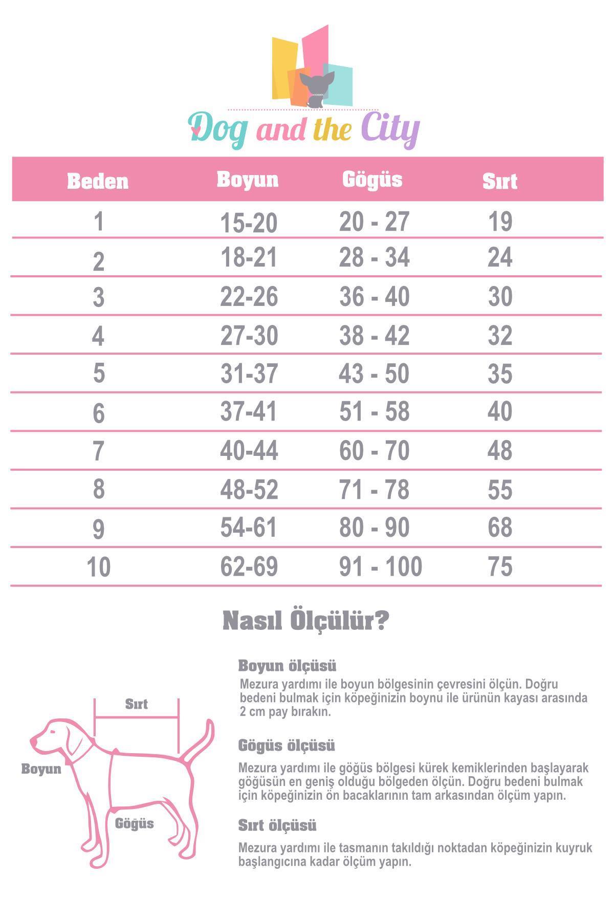 Lollidogs Basics Kashkorse Dog Sweatshirt Green