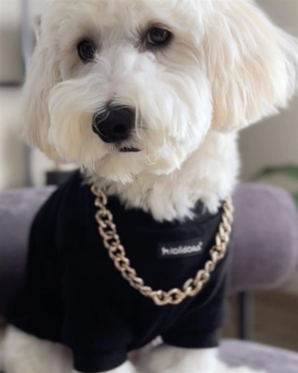 Lolidogs Basics - Kaşkorse Köpek Sweatshirtü Siyah