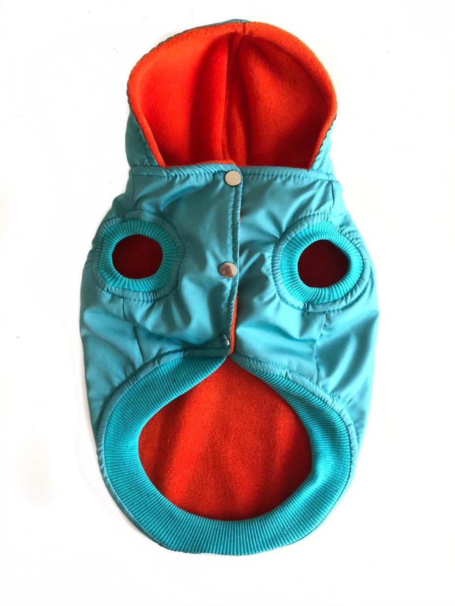 Lolidogs Blue Köpek Montu