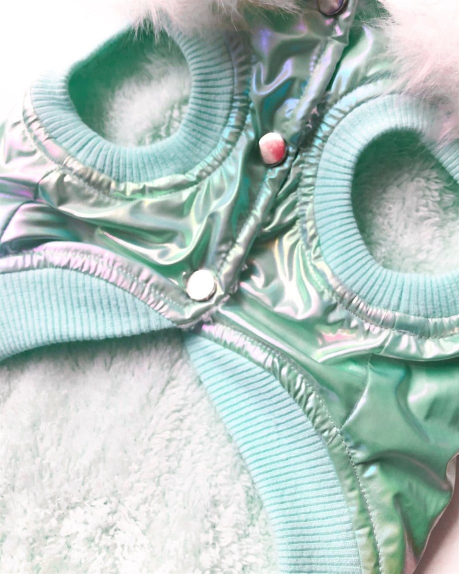 Lollidogs Carnival Dog Coat